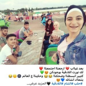 الشبيحة وفلول النظام التحكم بمصير هذه القوى خطوة حاسمة في تشكيل النظام